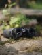Lornetka Focus Focus Observer 8x42 ED 1
