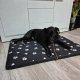 Purlov Legowisko 100x70cm dla psa 24862 4