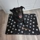 Purlov Legowisko 100x70cm dla psa 24862 6
