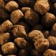 Happy Dog HappyDog Mini Adult 4kg 3