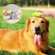 Pet Brush Szczotka parowa dla zwierząt do pielęgnacji zwierząt 3