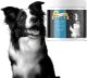Prize Pet Food Prize Pet Food Flex Core Preparat Wspomagający Pracę i Regenerację Stawów dla Psa 300g 2