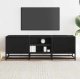 vidaXL Szafka pod TV, czarna, 120x35x41 cm 3