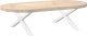 vidaXL vidaXL Nogi do stolika kawowego, 2 szt., biale, 70x(30-31) cm, stal 8