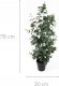 Sztuczny eukaliptus w doniczce EDEN, 78 cm 1