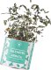Spearmint infusion Dvaro Kavos, 10 g 1