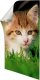 3M poster strips Command 12pcs 1