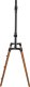 Nedis TVSM7250BK uchwyt do telewizorów 190,5 cm (75") Czarny, Brązowy 3