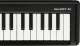 Korg MICROKEY 2 49 AIR - Klawiatura sterująca 2