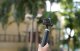 Selfie stick uniwersalny 360 Telesin S1-TSS-01 10