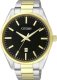 Zegarek Citizen Zegarek Citizen BI1034-52E 1