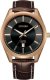 Zegarek Citizen Zegarek Citizen BI1033-04E 1