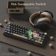 Royal Kludge R65 RGB Phantom laidinė mechaninė klaviatūra | 60%, Brown switches, US 3