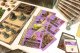 Portal Games Dodatek do gry Cthulhu: Death May Die: Kampania 4 3