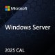 Microsoft Win Svr CAL 2025 English 1pk DSP OEI 1 Clt User CAL (EP2-25261) 1