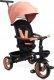 Toyz ROWEREK 3-KOŁOWY SABER LIGHT PINK 3