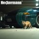 Odstraszacz ultradźwiękowy Heckermann MS-533 3
