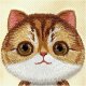 Nimmy case iPhone 16 6.1" khaki Big Eyed Pet 2.0 Cat 8
