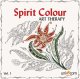 Spirit Colour - Art Therapy Vol.1 1