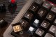 8Bitdo Pro2 Gamepad G Edycja Klasyczna 7