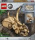 Jurassic World Szkielety dinozaurów: czaszka triceratopsa (76969) 1