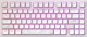 Klawiatura Dark Project ALU81A Terra Nostra G3Ms Moonstone (DPKB_NOSTRA_81_ANSI_WHITE) 1