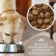 Dr John Grain Free DUO-PACK 25 kg (2 x 12.5 kg) 3