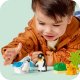 Duplo Rodziny dzikich zwierząt: pingwiny i lwy (10442) 4