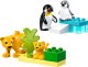 Duplo Rodziny dzikich zwierząt: pingwiny i lwy (10442) 7