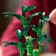 LEGO Botanicals Dracena sandera (10344) 5