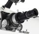 Szukacz Sky-Watcher Red Dot 3