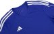 Koszulka męska adidas Tiro 23 League Jersey niebieska HR4611 XS 2