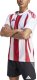 Koszulka męska adidas Striped 24 Jersey biało-czerwona IW2142 XS 1