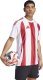 Koszulka męska adidas Striped 24 Jersey biało-czerwona IW2142 XS 3