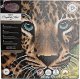 CRAFT Buddy Leopard 1