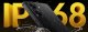 MOBILE PHONE POCO X7 PRO/8/256GB YELLOW MZB0J18EU POCO 21