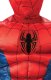 Marvel Spiderman Deluxe Kostume (M) 2