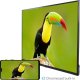 ProCaster 43SL901H 43" 4K Android LED TV 2