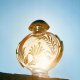 Zestaw Paco Rabanne Olympea Solar Intense woda perfumowana 50ml + balsam do ciała 75ml 3