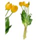 VIRIDIS Kwiat sztuczny Bukiet 5 Tulipanów żółte 40cm 1
