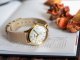 ZEGAREK DAMSKI TIMEX TW2W15800 MODERN EASY READER - INDIGLO + BOX 7