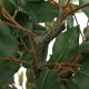 vidaXL Sztuczne drzewo Ficus 480 liści 130 cm zielone 2