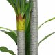 vidaXL Sztuczne drzewo Draceny 36 liści 120 cm zielone 3