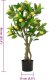 vidaXL Sztuczne drzewo cytrynowe 234 liście 90 cm zielone 4
