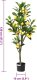 vidaXL Sztuczne drzewo cytrynowe 136 liści 120 cm zielone 4
