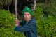 Miecz Katana Roronoa Zoro Shusui One Piece Drewniany JT10511RD-2 10