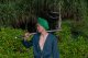 Miecz Katana Roronoa Zoro Shusui One Piece Drewniany JT10511RD-2 9