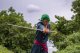 Miecz Katana Roronoa Zoro Purple Enma One Piece Drewniany JT10661PU-2 9