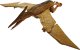 INTERAKTYWNY DINOZAUR PTERODAKTYL DUŻA FIGURKA RYCZY SKRZYDŁA ŚWIECĄCE OCZY 3