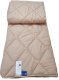 Wool blanket MERKYS, 140 x 200 cm, imp. 100% cotton, back. 100% sheep wool, 450 g/m2 2